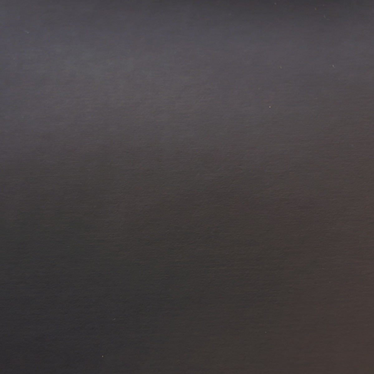 #091 Matte Dark Brown