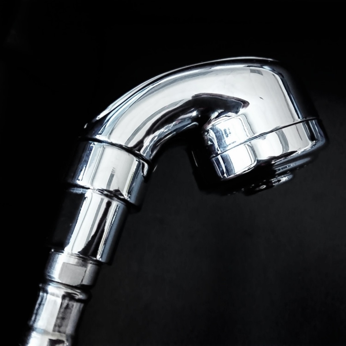 G-118 Chrome Finish Sprayer with Hose