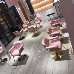  Modern Style Salon Chair 