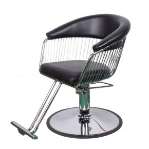 "WEBBER" modern Style Salon Chair