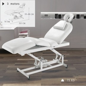 "Hera "Electric beauty massage bed