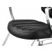 "ARENA" Salon Styling Chair