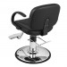 "BOSCH" Salon Styling Chair
